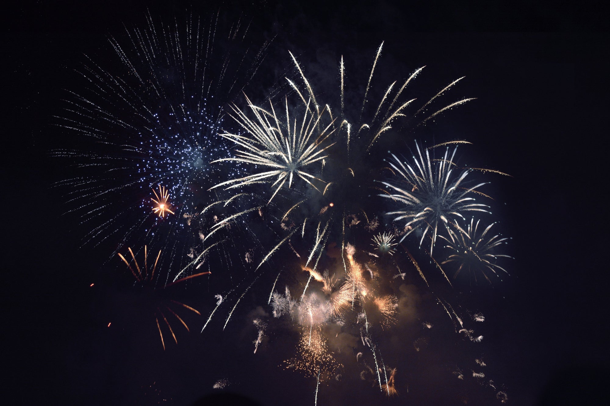 Fireworks - pretty or not they can scare pets