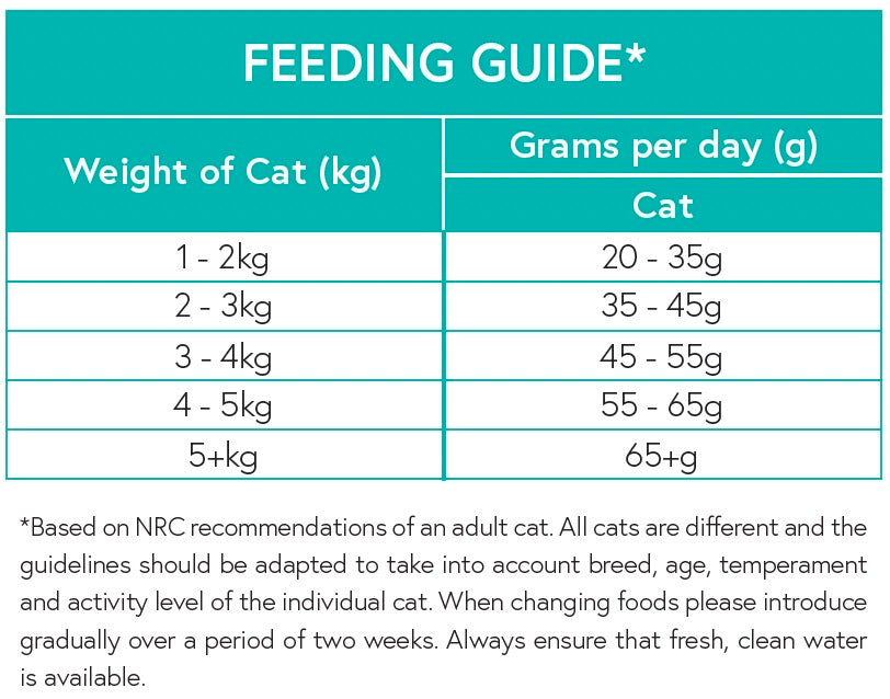 Grain Free Adult Cat Turkey & Sweet Potato