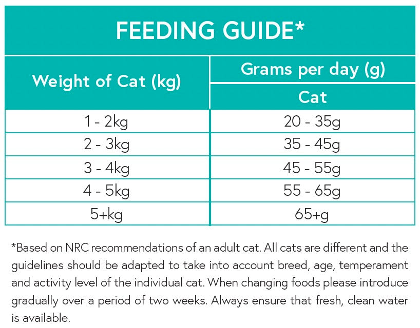 Grain Free Adult Cat Salmon & Sweet Potato
