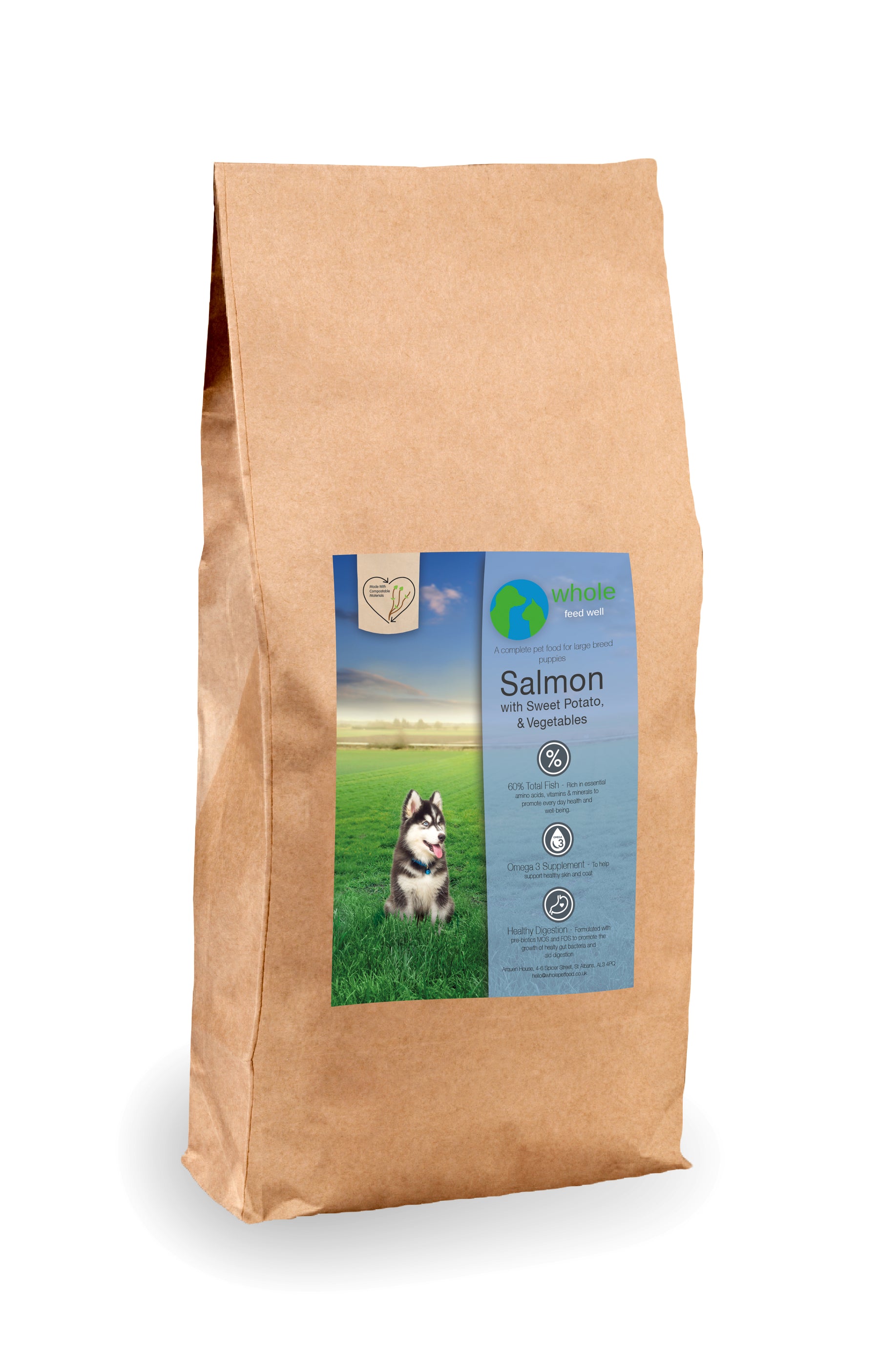 Super Salmo Large Breed Puppy Salmon